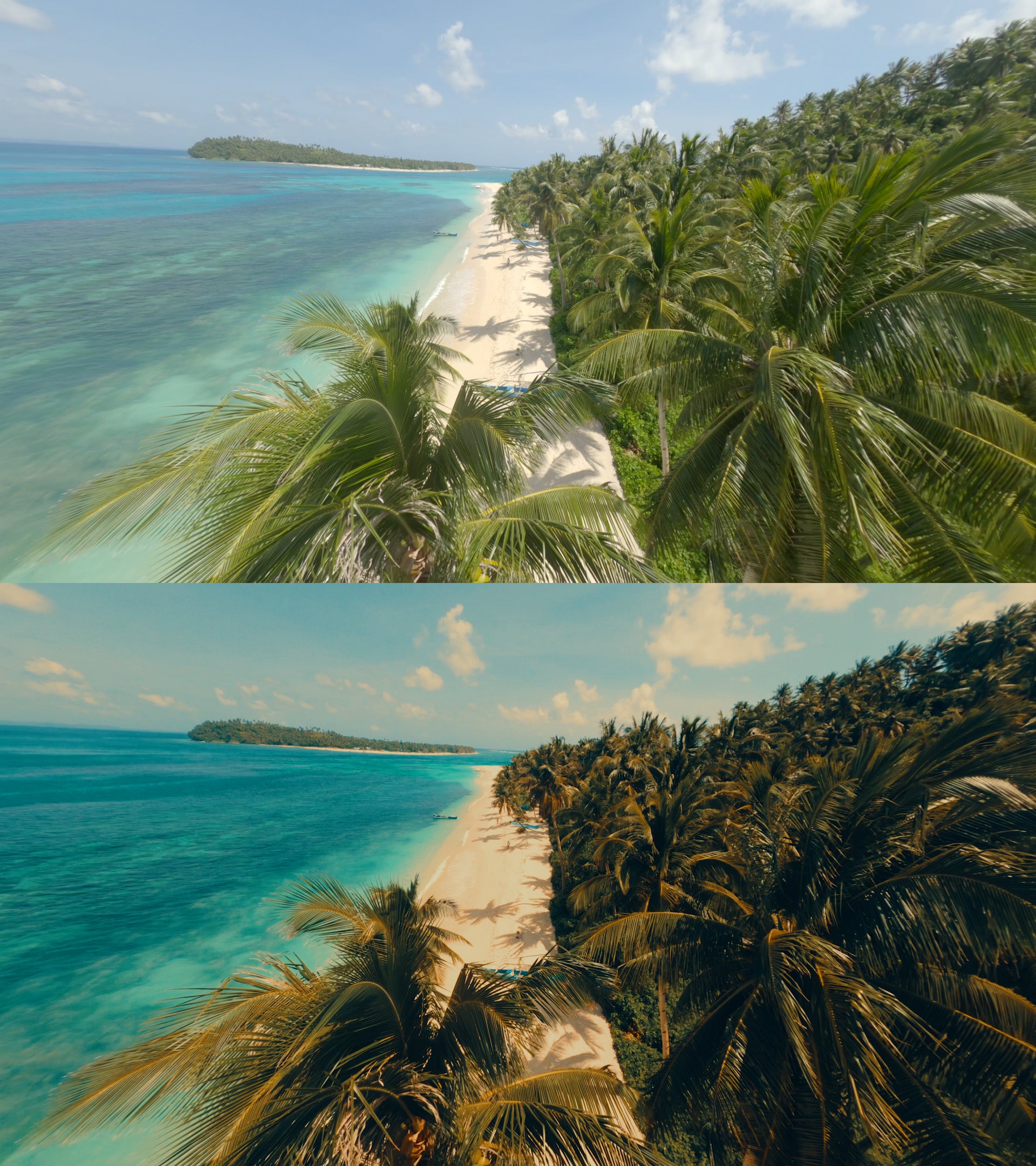 Free Cinematic LUT