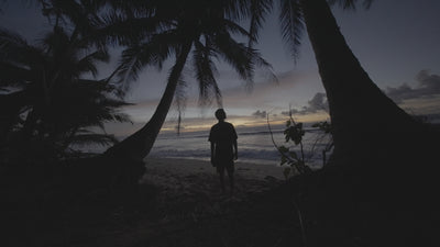 Before — camera log